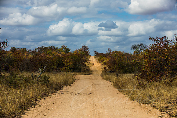 SouthAfrica2017-2-9