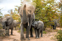 SouthAfrica2017-2-20