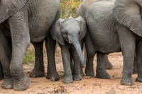 SouthAfrica2017-2-22